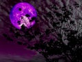 purple moon back silhouette branch tree sunset
