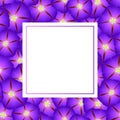 Purple Morning Glory Flower Banner Card Border. Vector Illustration Royalty Free Stock Photo