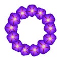 Purple Morning Glory Flower Wreath. Vector Illustration Royalty Free Stock Photo