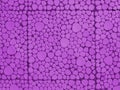 Purple mosaic wall abstract background, close-up