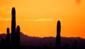 Purple Mountains Majesty of Apache Junction, Arizona