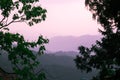 Purple mountains shot through trees