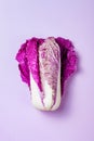 Purple napa cabbage on pastel color background. Minimal concept. Plant based vegan or vegetarian cooking. Clean eating food