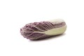 Purple napa cabbage. Red Napa, Chinese Cabbage on white. Purple chinese cabbage isolated on white