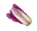 Purple napa cabbage on white. Purple chinese cabbage isolated on white