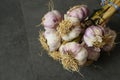 purple natural garlic,close-up bunch of garlic,fresh garlic heads