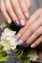 Purple neat manicure on female hands on flowers background. Nail design