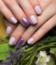 Purple neat manicure on female hands on flowers background. Nail design Royalty Free Stock Photo