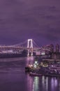 Purple night on illuminated Rainbow Bridge with cruise ships moored in Odaiba Bay of Tokyo