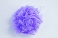 Purple nylon body and shower scrubber white background