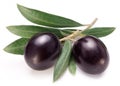 Purple olives with leaves on white background. Close-up Royalty Free Stock Photo