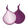 Purple onion healthy vegetable isolated style icon