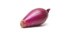 Purple onion isolated on white Royalty Free Stock Photo