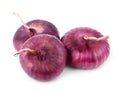 Purple onion isolated on a white