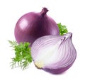 Purple onion parsley dill isolated on white background Royalty Free Stock Photo