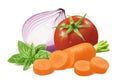 Purple onion, tomato, green basil and sliced carrot isolated on white background Royalty Free Stock Photo