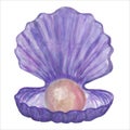 Purple open shell with a pearl inside Royalty Free Stock Photo