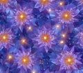 Purple and Orange Floral Pattern Seamless Texture Background Royalty Free Stock Photo