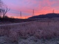 Purple and Orange Sunrise at Gupton Wetlands