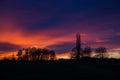 Purple and orange Sunset behind Trees, Germany Royalty Free Stock Photo