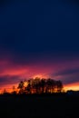 Purple and orange Sunset behind Trees, Germany Royalty Free Stock Photo