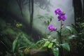 purple orchid blooming in foggy forest, surrounded by lush greenery