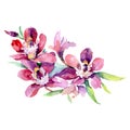 Purple orchid bouquet floral botanical flowers. Watercolor background set. Isolated orchids illustration element. Royalty Free Stock Photo