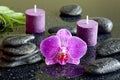 Purple orchid candles and zen stones spa concept