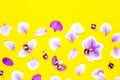 Purple orchid flower pattern on yellow background. Tropical floral pattern. Trendy Beautiful summer, spring print Royalty Free Stock Photo