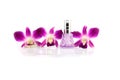 Purple orchid and Purple Perfume bottles. Royalty Free Stock Photo