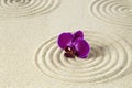 Purple orchid on sand pattern