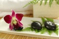 Purple orchid in the spa Royalty Free Stock Photo