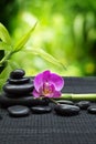 Purple orchid with tower black stones , bamboo on black mat Royalty Free Stock Photo