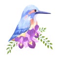 Purple orchids and common kingfisher on roses perennial flowering plant watercolor painting Royalty Free Stock Photo