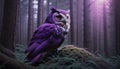 purple owl in the forest