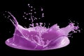 Purple paint splash isolated on black background Royalty Free Stock Photo