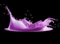 Purple paint splash isolated on black background Royalty Free Stock Photo