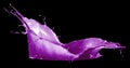 Purple paint splash isolated on black background Royalty Free Stock Photo