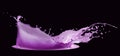 Purple paint splash isolated on black background Royalty Free Stock Photo