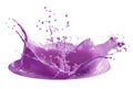 Purple paint splash isolated on white background Royalty Free Stock Photo