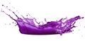 Purple paint splash isolated on white background Royalty Free Stock Photo