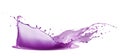 Purple paint splash isolated on white background Royalty Free Stock Photo