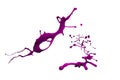 Purple paint splash isolated on white background Royalty Free Stock Photo