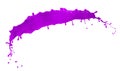 Purple paint splash isolated on white background Royalty Free Stock Photo