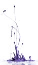 Purple paint splashing Royalty Free Stock Photo