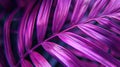 Purple palm leaf close-up. Natural background and texture for design. Generative AI Royalty Free Stock Photo