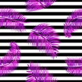 Purple palm leaves seamless pattern, on black and white striped background.