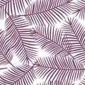 Purple palm leaves on a white background exotic tropical hawaii