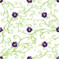 Purple pansies and green swirls Royalty Free Stock Photo