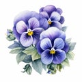 Purple Pansies Watercolor Painting With Realistic Color Schemes Royalty Free Stock Photo